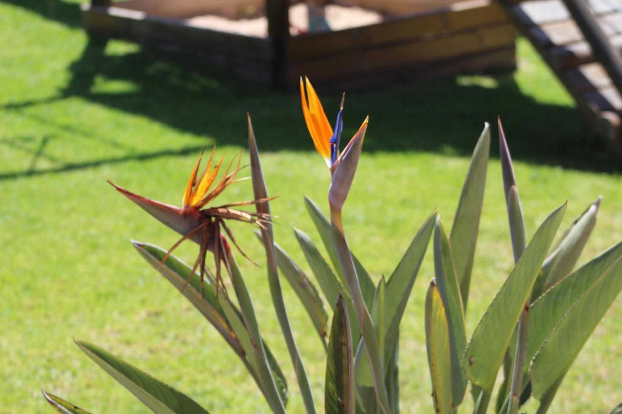 Hartenbos Private Game Lodge Eksteriør bilde
