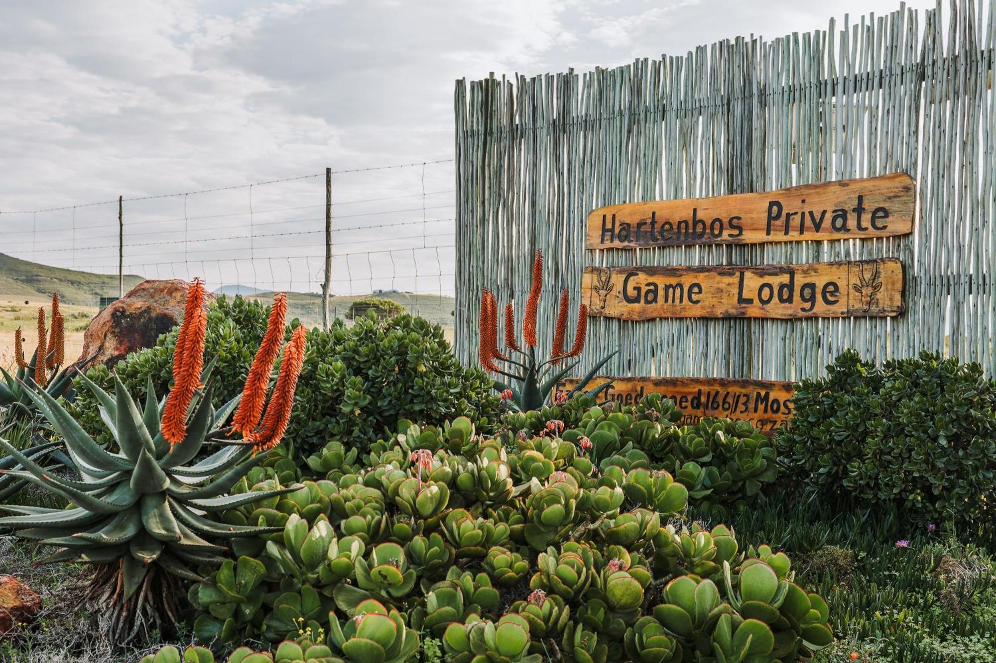 Hartenbos Private Game Lodge Eksteriør bilde