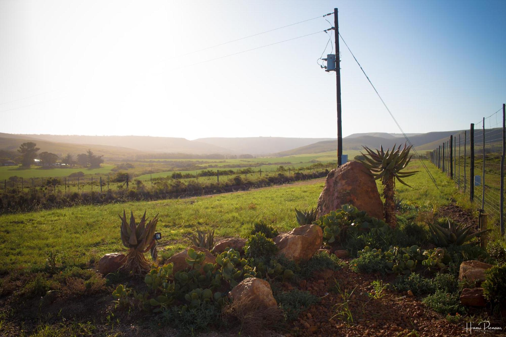 Hartenbos Private Game Lodge Eksteriør bilde