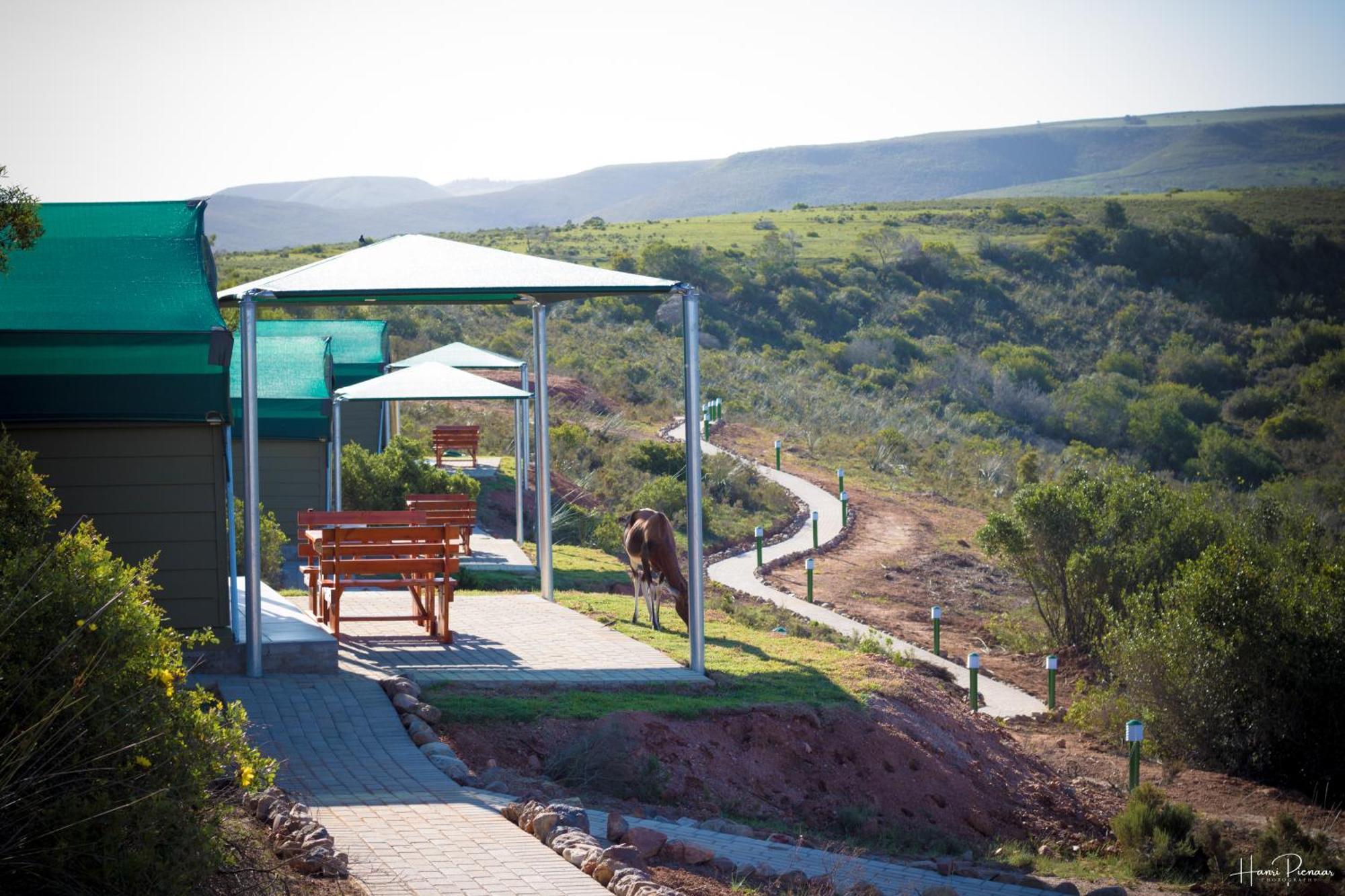 Hartenbos Private Game Lodge Eksteriør bilde